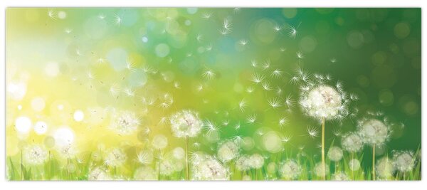 Kép - Virágozatlan pitypang (120x50 cm)