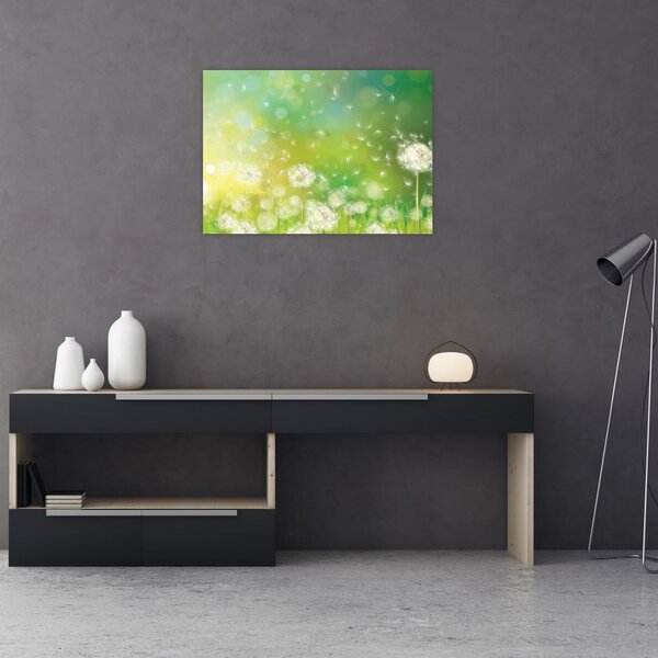 Kép - Virágozatlan pitypang (70x50 cm)