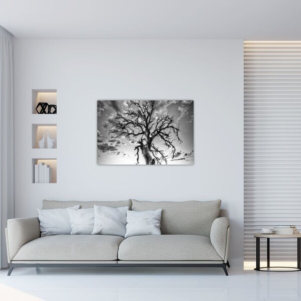 Kép - fekete fehér fa (90x60 cm)