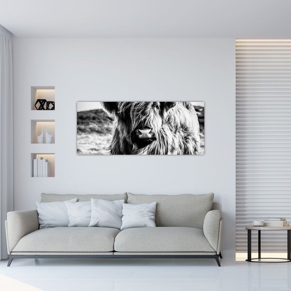 Kép - Highland - skót tehén (120x50 cm)