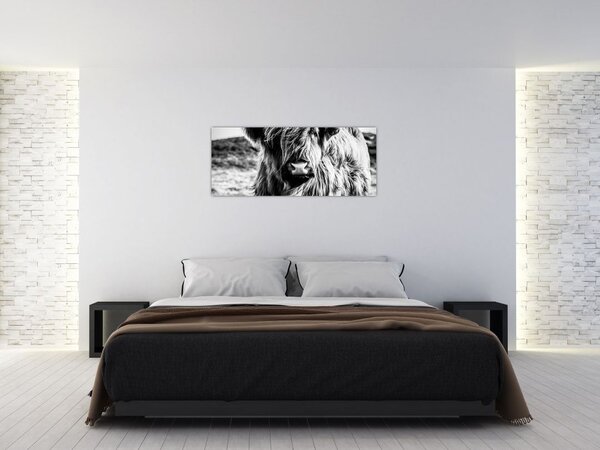 Kép - Highland - skót tehén (120x50 cm)