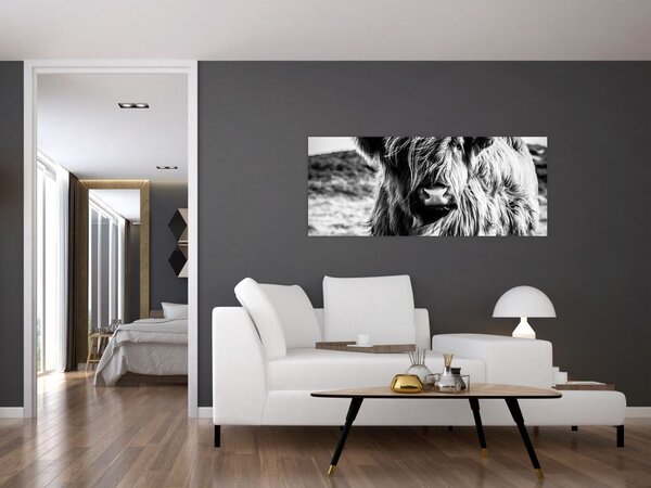 Kép - Highland - skót tehén (120x50 cm)