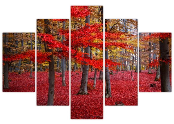 Kép - vörös erdő (150x105 cm)