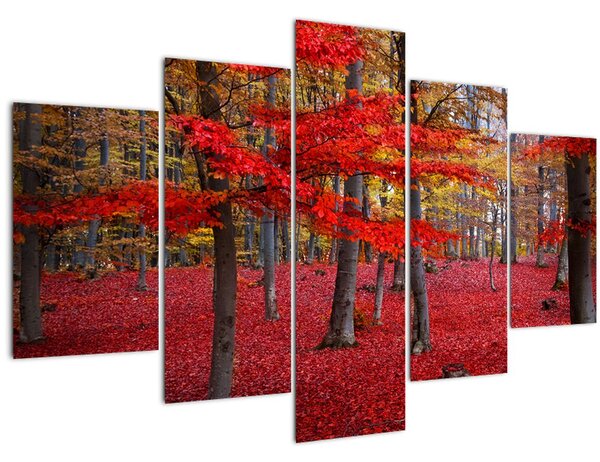 Kép - vörös erdő (150x105 cm)