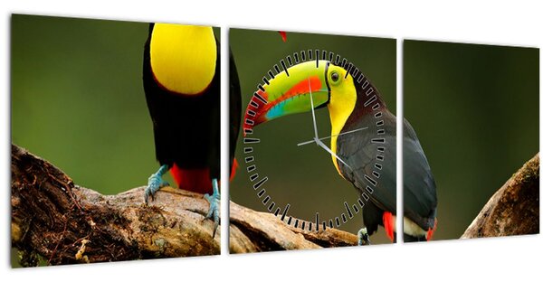 Ülő tukánok képe, Costa Rica (órával) (90x30 cm)