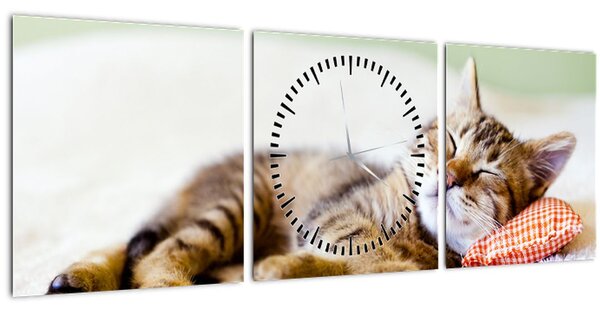 Kép - alvó cica (órával) (90x30 cm)