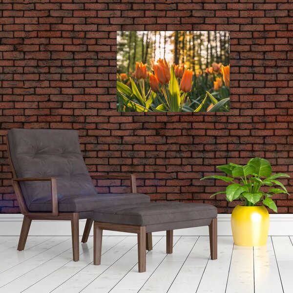 Kép - tulipánok (üvegen) (70x50 cm)