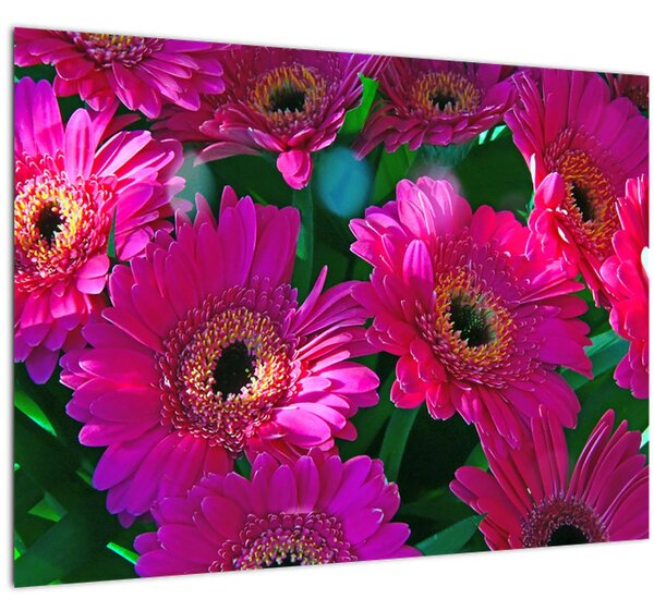Kép - virágok (üvegen) (70x50 cm)