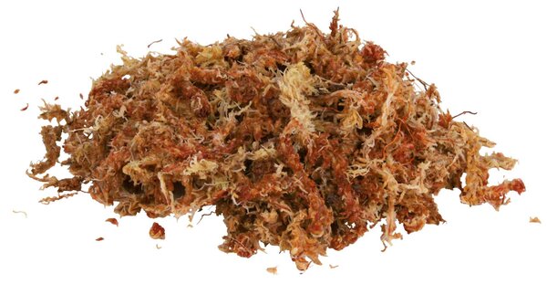 Trixie 111625 Terrárium aljzat természetes zöld 5L