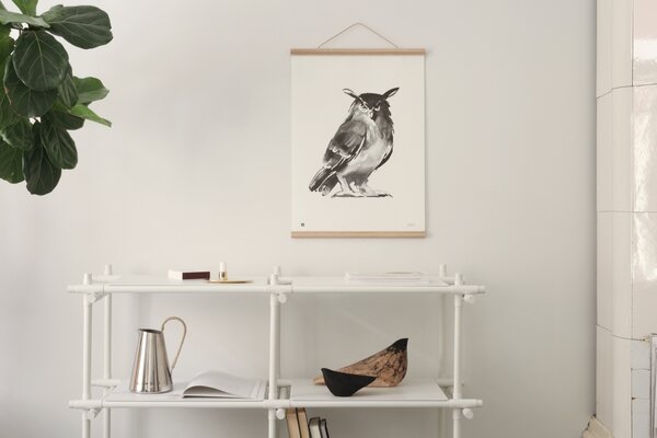 Teemu Järvi Poszter bagoly motívummal – Eagle Owl, 50x70 cm