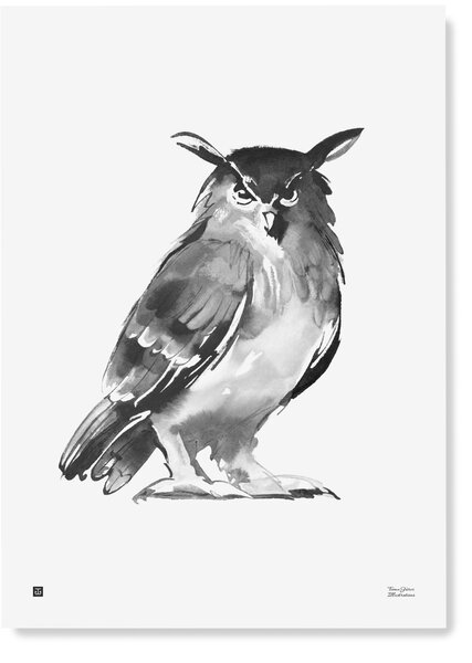 Teemu Järvi Poszter bagoly motívummal – Eagle Owl, 50x70 cm