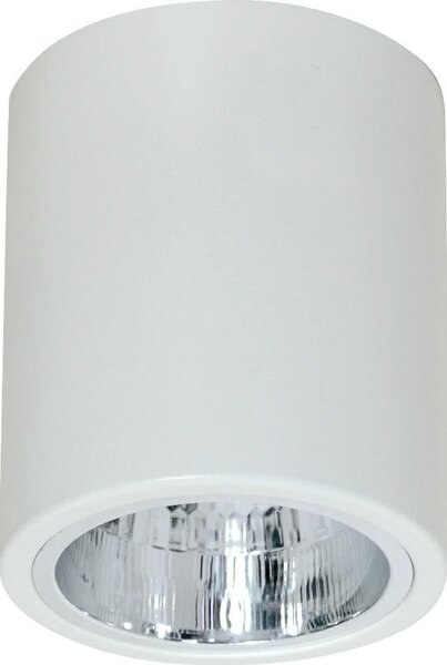 Lampa sufitowa Luminex Plafon natynkowy Downlight 12,5 cm biały