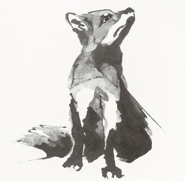 Teemu Järvi Poszter vörös róka motívummal – Red Fox, 50x70 cm