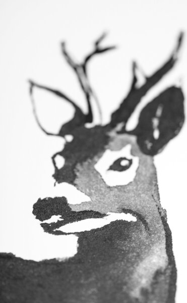 Teemu Järvi Poszter őz motívummal – Roe Deer, 50x70 cm