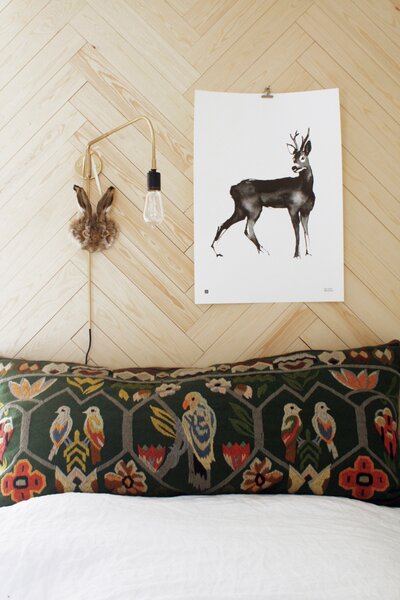 Teemu Järvi Poszter őz motívummal – Roe Deer, 50x70 cm