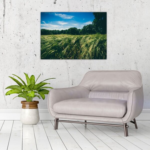 Rét és az erdő képe (70x50 cm)