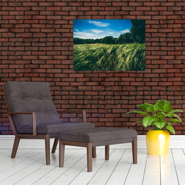 Rét és az erdő képe (70x50 cm)