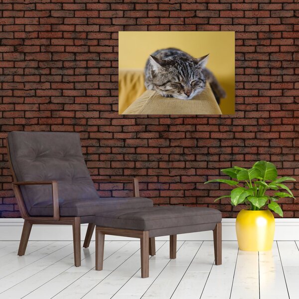 Macska a kanapén képe (70x50 cm)
