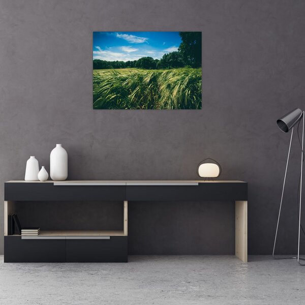 Rét és az erdő képe (70x50 cm)