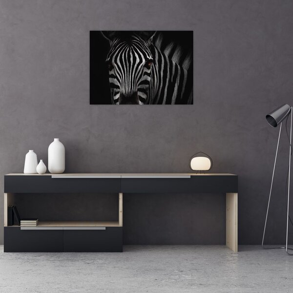 Zebra képe (70x50 cm)