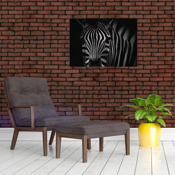 Zebra képe (70x50 cm)