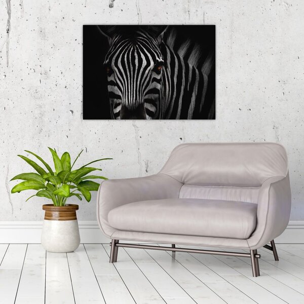 Zebra képe (70x50 cm)