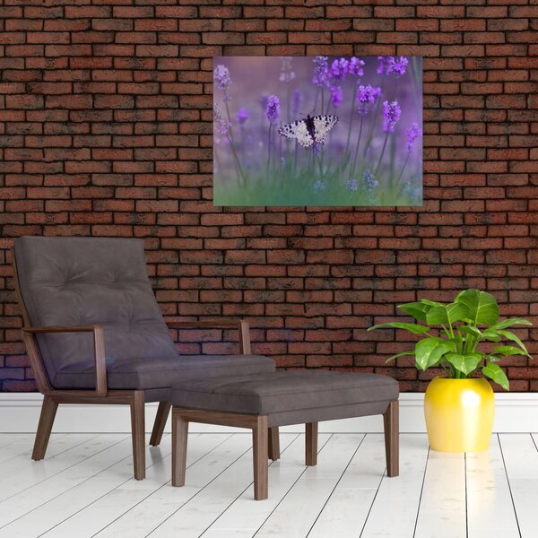 Kép - Pillangó a levendulán (70x50 cm)