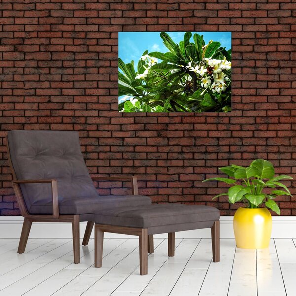 Kép - Plumeria (70x50 cm)