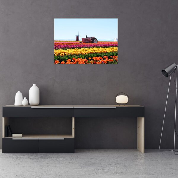 Tulipánfarm képe (70x50 cm)