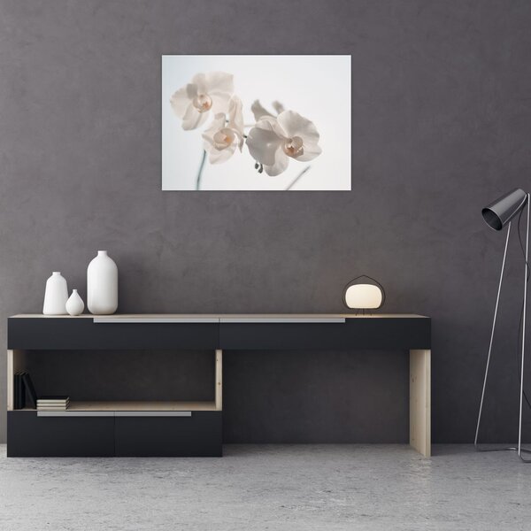Fehér orchidea képe (70x50 cm)