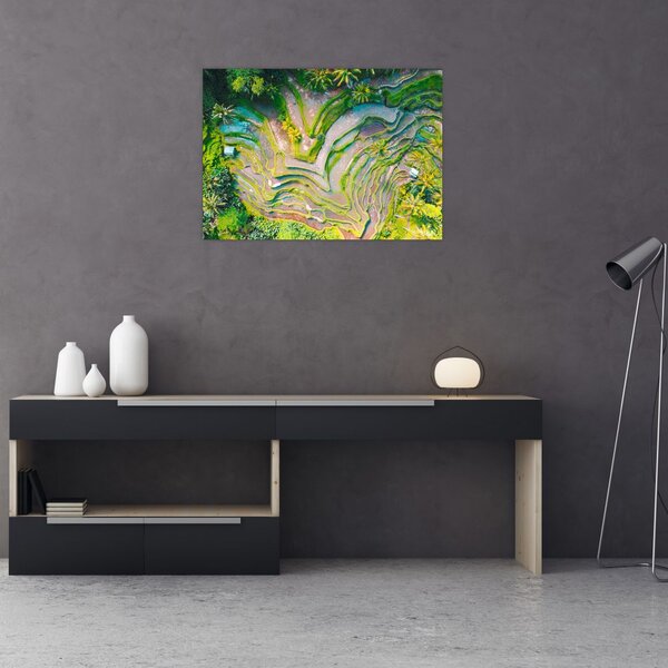 A rizsföldek képe madártávlatból (70x50 cm)