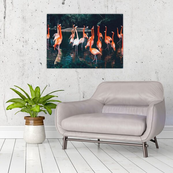 Flamingók csordája (70x50 cm)