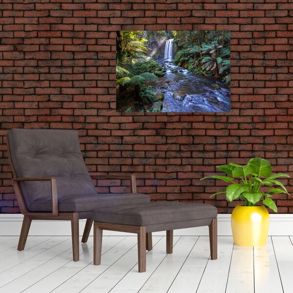 Ausztrál esőerdő képe (70x50 cm)