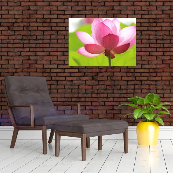 Lótuszvirág kép (70x50 cm)