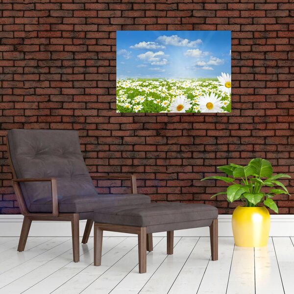 A virágzó rét százszorszépekkel képe (70x50 cm)