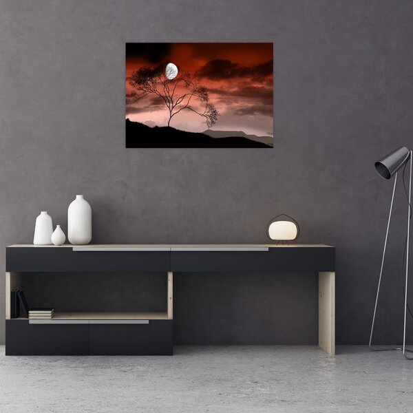 Kép - Hold megvilágítja az éjszakát (70x50 cm)