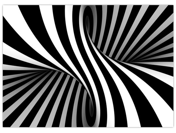Absztrakt kép zebra csíkokkal (70x50 cm)
