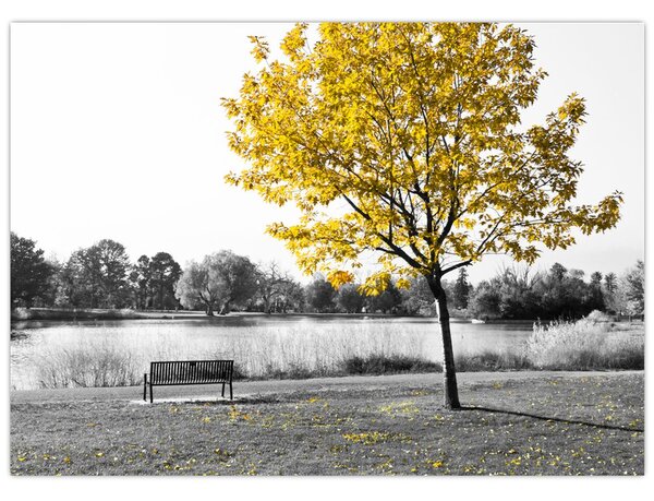 Kép - Pihenés a parkban (70x50 cm)
