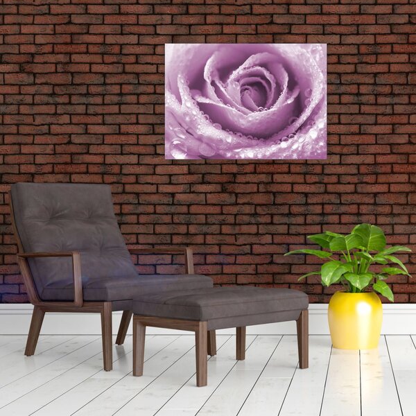 Egy rózsa virág részlete (70x50 cm)