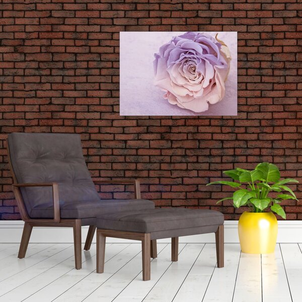 Egy rózsa virág részlete (70x50 cm)