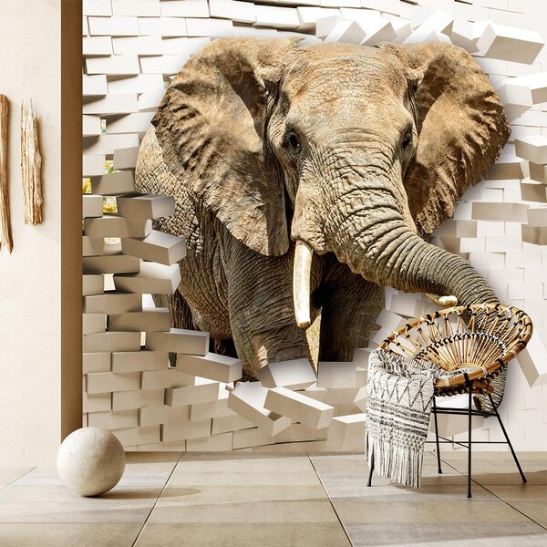 Fotótapéta - Egy elefánt áttör a falon (147x102 cm)