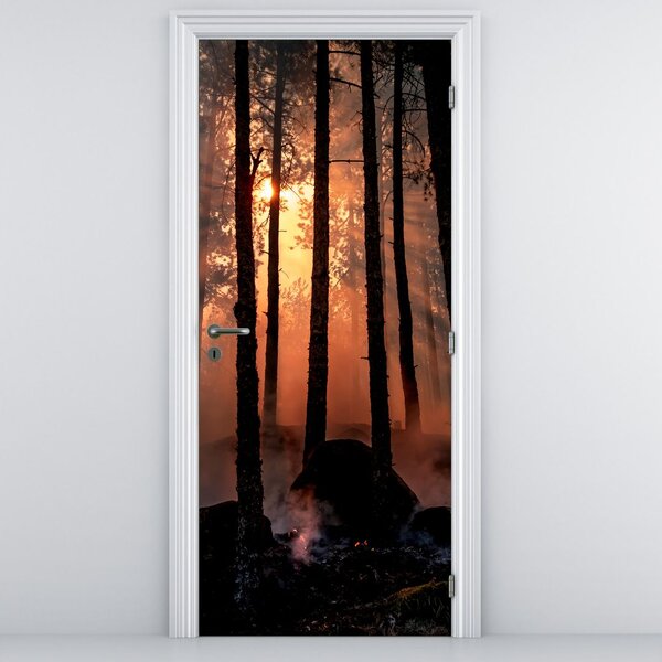 Fotótapéta ajtóra - Sötét erdő (95x205cm)