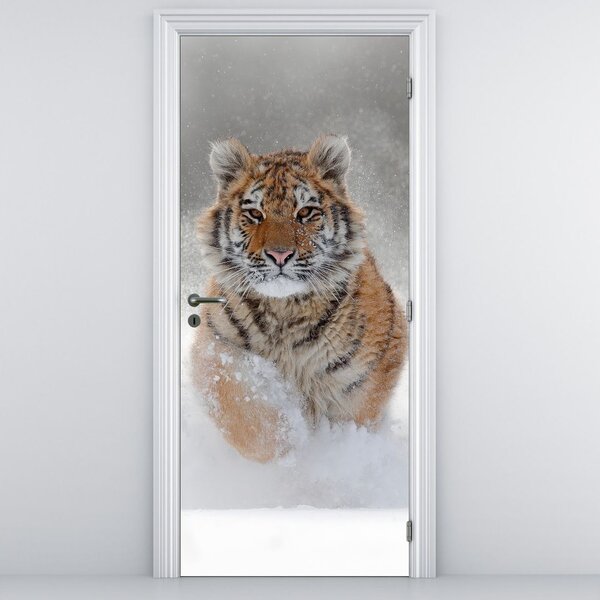 Fotótapéta ajtóra - Futó tigris a hóban (95x205cm)