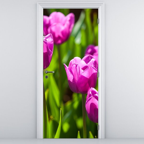 Fotótapéta ajtóra - Tulipánok a réten (95x205cm)