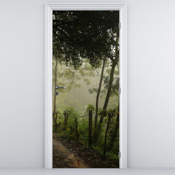 Fotótapéta ajtóra - Reggeli köd (95x205cm)
