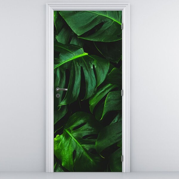 Fotótapéta ajtóra - Monstera levelek (95x205cm)