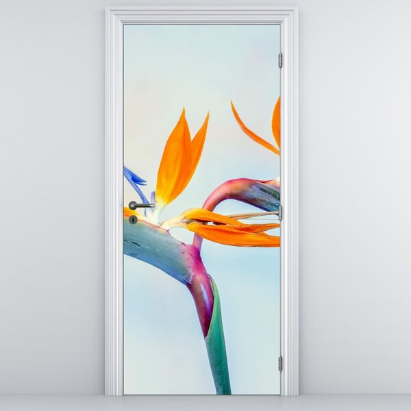 Fotótapéta ajtóra - Papagájvirág (95x205cm)