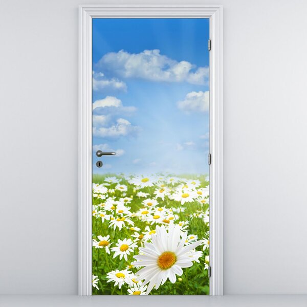 Fotótapéta ajtóra - Virágzó rét százszorszépekkel (95x205cm)