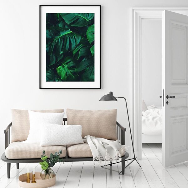 Poszter - Monstera (A4)