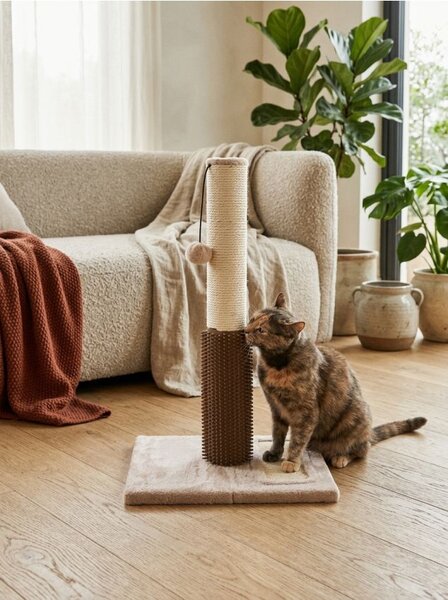 Sinsay - Kaparódeszka macskáknak - krémszínű